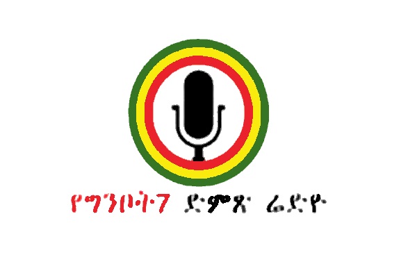 Ginbot 7 Dimts Radio Music In Africa