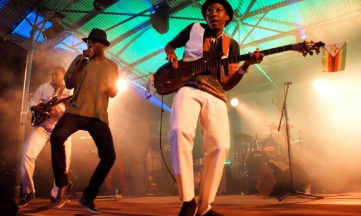 Mokoomba at Bushfire in 2014. Photo by David Durbach