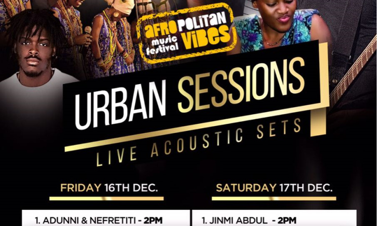 Afropolitan Vibes Music Festival flyer