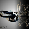 Portrait de Decks &amp; Bars