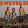 Gwevedzi Afro-acoustics Band's picture