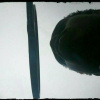 ʍ l ą g ʊ z ¥'s picture
