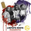 Limpopo Roots's picture