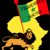 Portrait de Ndjougoup Sound System