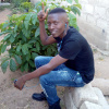 Lyagu  Zebest's picture