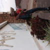 Skhuman's picture