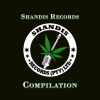 Portrait de Shandis Records