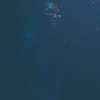 Portrait de notjstanybodi