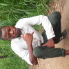 G bytes's picture