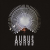 Aurus's picture