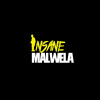 Portrait de Insane Malwela