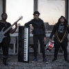 BOLD BAND SA's picture