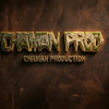 Portrait de Chaman Production/promix IA/consul informatique