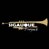 Sigauque Project's picture