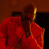 Mane Boy (Mr. 11)'s picture