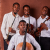 Vivo Music and Entertainment's picture