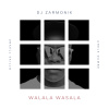 DJ Zarmonik's picture