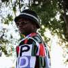 Venacular's picture